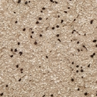Marble Effect Beige